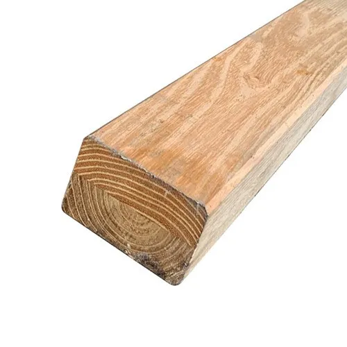 \\Server\Gdaten\Logic Artikelfotos\Robinie UK.jpg \\Server\Gdaten\Logic Artikelfotos\Robinie UK.jpg